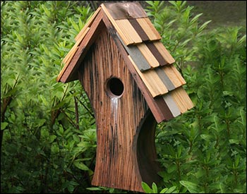 Robin Hood Birdhouse