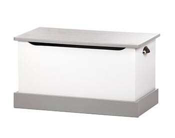 Large Maple Toybox
