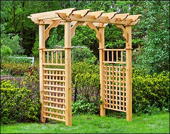 Renoirs Red Cedar Arbor