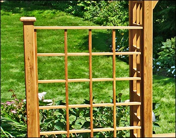 Red Cedar Canterbury Arbor w/Bench & 2 Wings