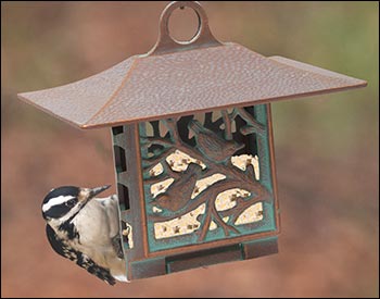 Bird Suet Feeder