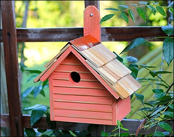 Cypress Hyannis Bird House