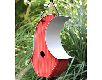 Cypress Zany Birdhouse