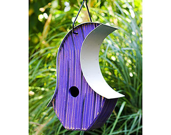 Cypress Zany Birdhouse