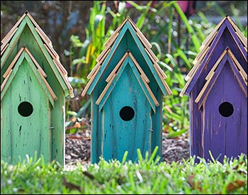 Cypress Vivid Bluebird House