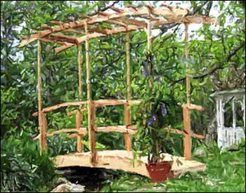 Monets Red Cedar Bridge w/ Curved Wisteria Canopy