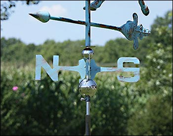 Copper Bull Verdigris Weathervane