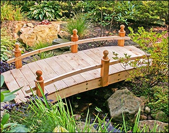 Red Cedar Starflower Single Rail Bridge