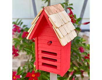 Cypress Lady Bug House