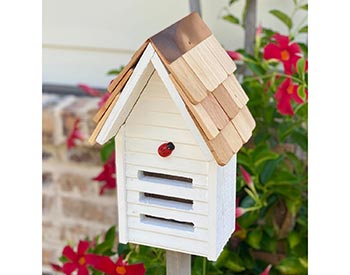 Cypress Lady Bug House