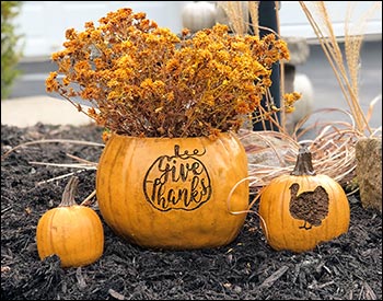 Concrete Stone Thanksgiving Pumpkin Planter (Set of 3)