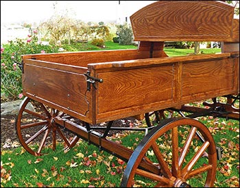 Deluxe Buckboard Wagon