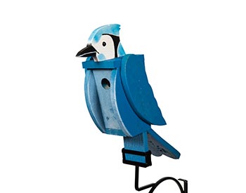 Treated Pine Blue Jay Birdhouse
