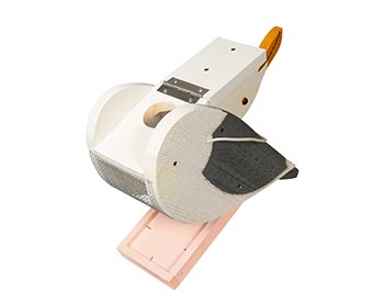 Treated Pine Seagull Birdfeeder