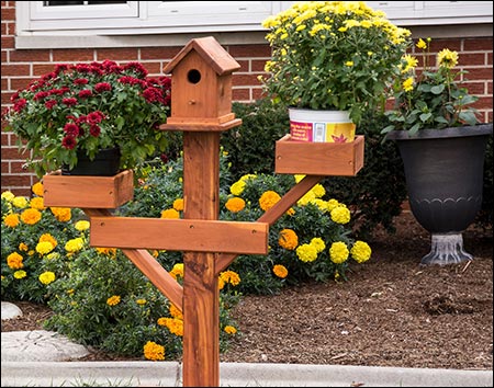 Eastern Red Cedar Birdhouse Planter