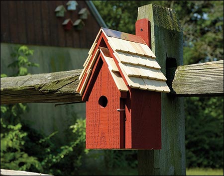 Bluebird Cottage