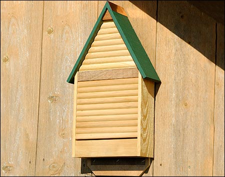 Cypress Bat House