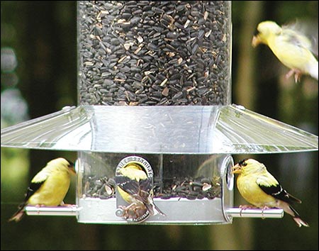 12" Classic Hanging Birdfeeder