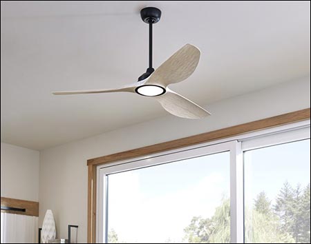 65" Resolute Outdoor LED Ceiling Fan