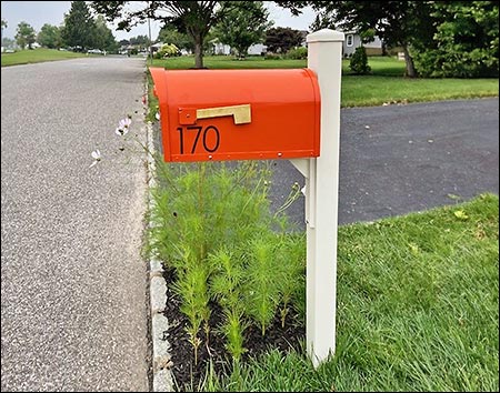 Aluminum Dylan Curbside Mailbox w/ Ivory Post