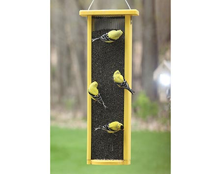 3 Quart Finch Feeder