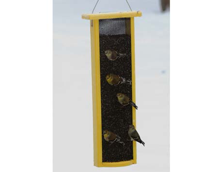 finch feeders finch feeders