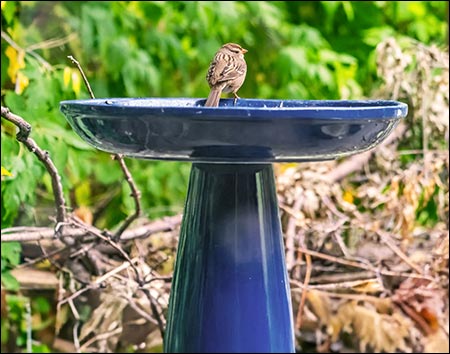 Ceramic Classic Birdbath