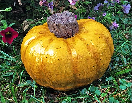 Concrete Willowbrook Mini Pumpkin
