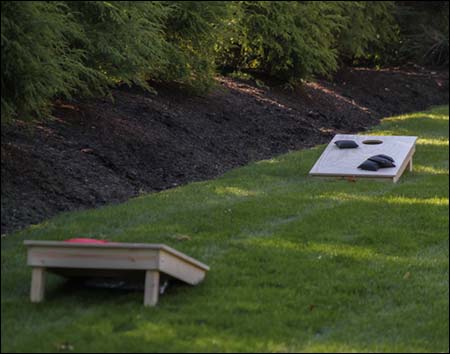 Cornhole Game