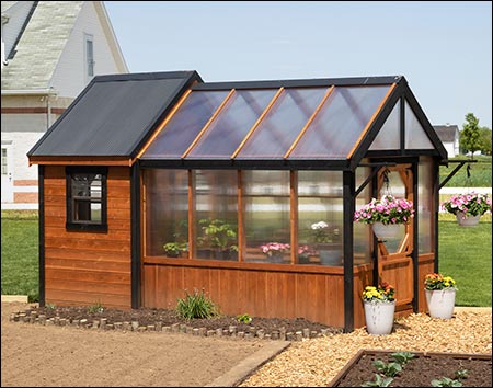 10' x 18' Red Cedar Siding Shed Style Greenhouse shown with Black Metal Roof and Cedar-Tone Semi-Transparent Stain.