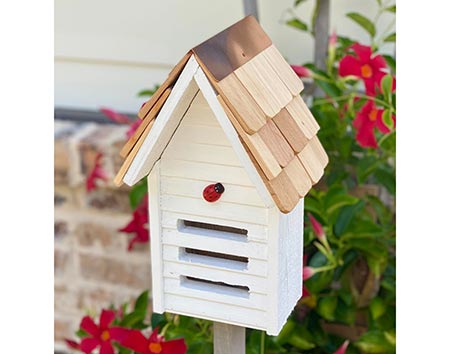 Cypress Lady Bug House