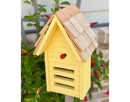 Cypress Lady Bug House