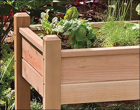 Red Cedar Elevated Planter