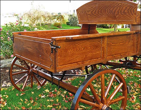 Deluxe Buckboard Wagon