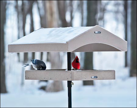 Poly Lumber Seed Catcher Platform Feeder w/ Topper