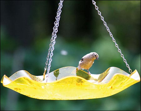 Hanging Acrylic Bird Bath