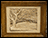 Stonecast Tree Picture
