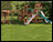 Monteverde Playset