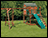Treated Pine Cheyenne Playset