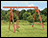 Sequoia Playset