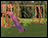 Humboldt Playset