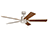 60" Boden Ceiling Fan