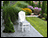 Poly Lumber Adirondack Dining Chair