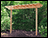 Red Cedar Marquis Arbor