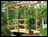 Monet's Red Cedar Bridge w/ Curved Wisteria Canopy