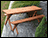 Red Cedar Cross Legged Picnic Table w/ 2 Benches