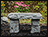 Concrete Serenity Garden Bench
