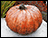 Concrete Giant Textured Pumpkin