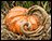 Concrete Long Vine Pumpkin