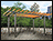 Aluminum w/Wood Vintage Classic Pergola